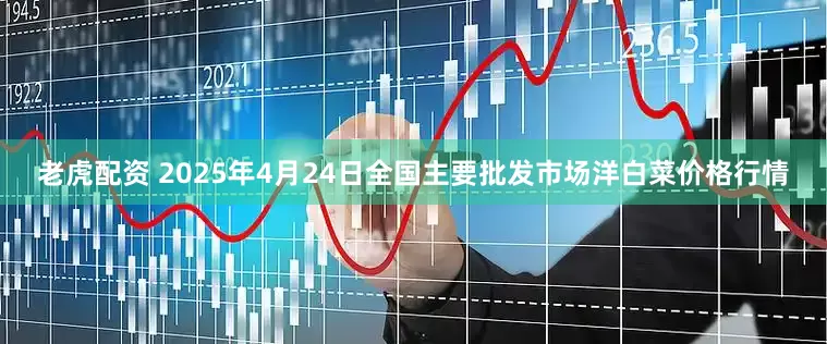 老虎配资 2025年4月24日全国主要批发市场洋白菜价格行情