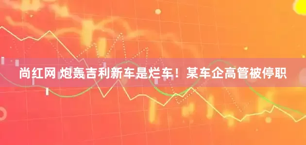 尚红网 炮轰吉利新车是烂车！某车企高管被停职